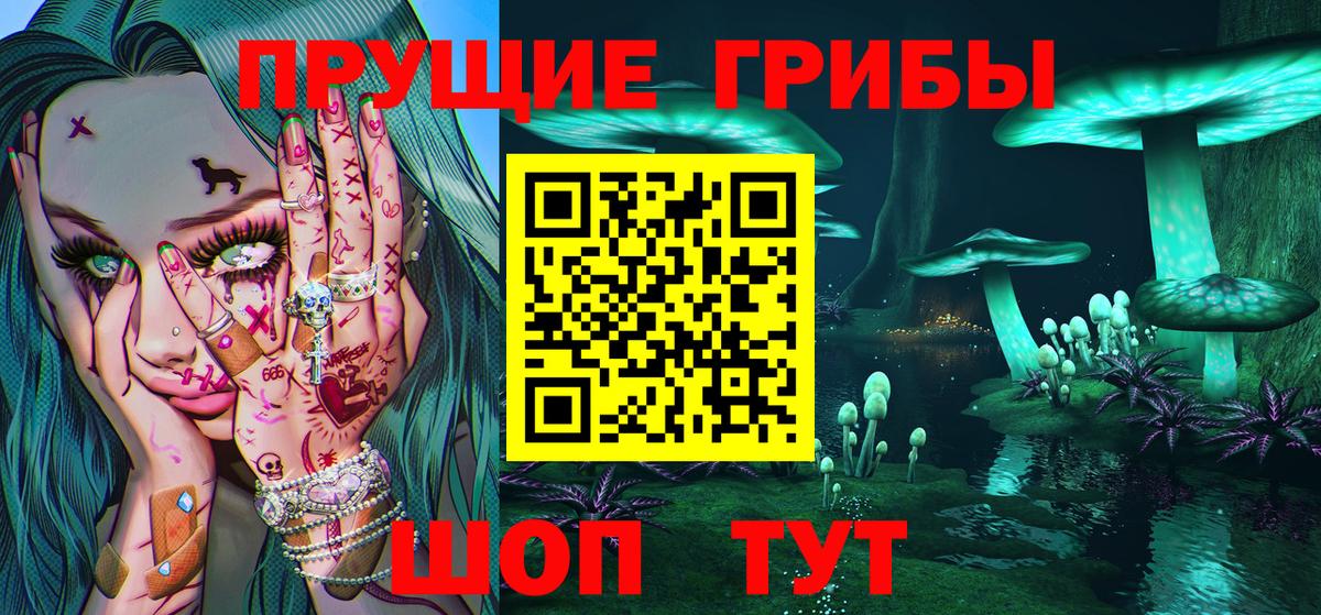 Псилоцибиновые грибы прущие грибы Кохма