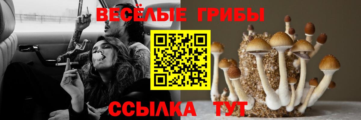 Кохма  Псилоцибиновые грибы мухоморы  Галлюциногенные грибы GOLDEN TEACHER  Вход с VPN 